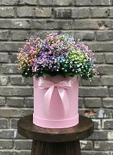 Цветочная композиция из Гипсофила и Розы в шляпной коробке #REPLACE_PRED# Емецк