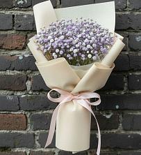 Букет цветов из:  Гипсофила в Емецк