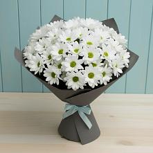 Букет цветов из:  Хризантемы в Емецк