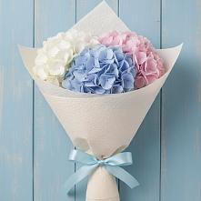 Букет цветов из:  Гортензия в Емецк