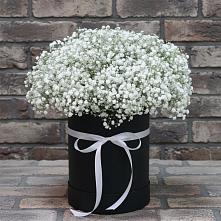 Цветочная композиция из Гипсофила в шляпной коробке в Емецк