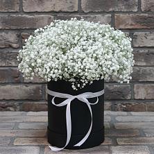 Цветочная композиция из Гипсофила в шляпной коробке в Емецк