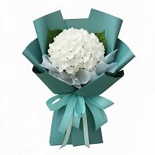 Букет цветов из:  Гортензия в Емецк